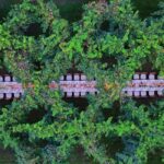 Montello: Wine, Cheese, and Honey Tasting at the Farm - How to Find the Starting Point for Your Farm Visit