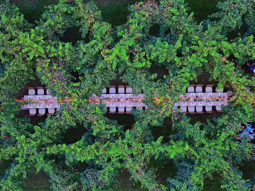 Montello: Wine, Cheese, and Honey Tasting at the Farm - How to Find the Starting Point for Your Farm Visit