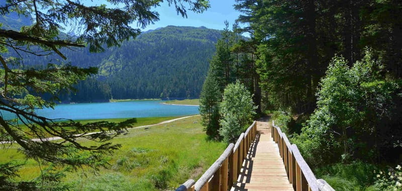 Montenegro Canyons day trip from Herceg Novi - The Itinerary: From Coastal Ports to Mountain Peaks