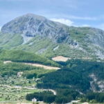 Montenegro: Njegui Pestingrad Peak Hiking Tour - Exploring Mount Loven’s Natural Diversity