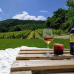 MONTEPULCIANO - PIC NIC WITH WINE! SURROUNDED BY VINEYARDS - Exploring the Podere della Bruciata Winery in Tuscany