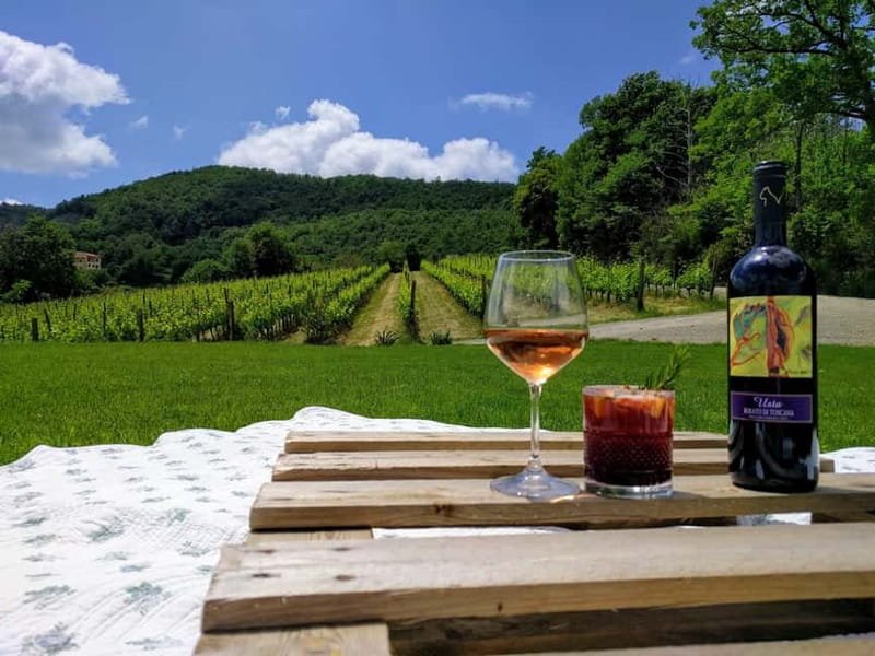 MONTEPULCIANO - PIC NIC WITH WINE! SURROUNDED BY VINEYARDS - Exploring the Podere della Bruciata Winery in Tuscany