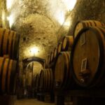 Montepulciano: Wine Tasting and Cellar Tour - Tasting Five DOC and DOCG Wines in a Modern Tasting Room