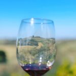 Montepulciano: Wine Tour and tasting - The Historic Montepulciano Winery in Valiano