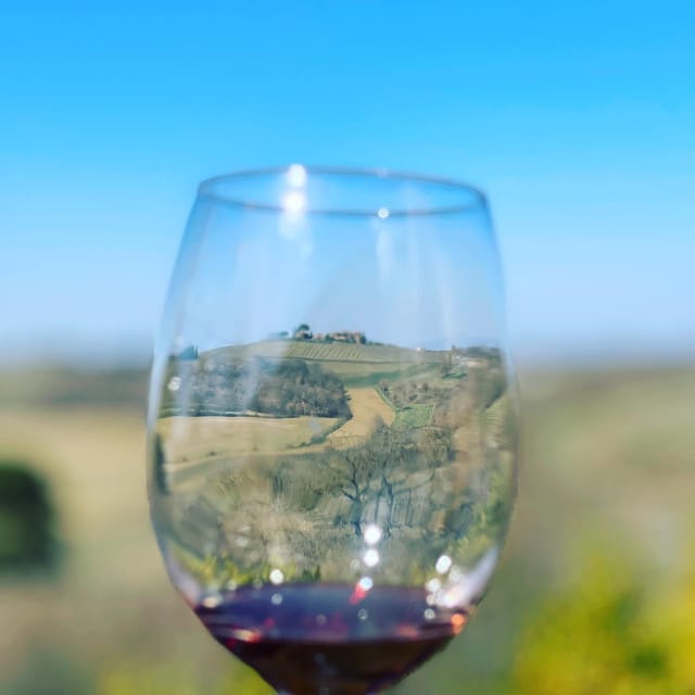 Montepulciano: Wine Tour and tasting - The Historic Montepulciano Winery in Valiano