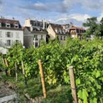 Montmartre Secret Gardens & French Goûter (snack) - From the Vineyards to the Panoramic Views