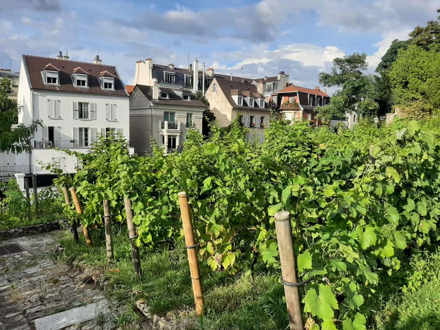 Montmartre Secret Gardens & French Goûter (snack) - From the Vineyards to the Panoramic Views