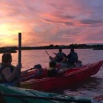 Montpellier : Birdwatching by kayak in the Camargue - Meeting Point and Accessibility in Montpellier