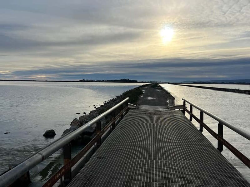 Montpellier: Guided Seaside Ride on an Electric Bike - From Montpellier to the Lattes Countryside
