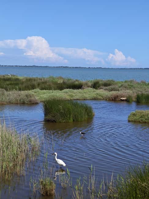 Montpellier: Petite Camargue - Camin de Fe Guided Ride by E-Bike - Value, Flexibility, and Cancellation Policies