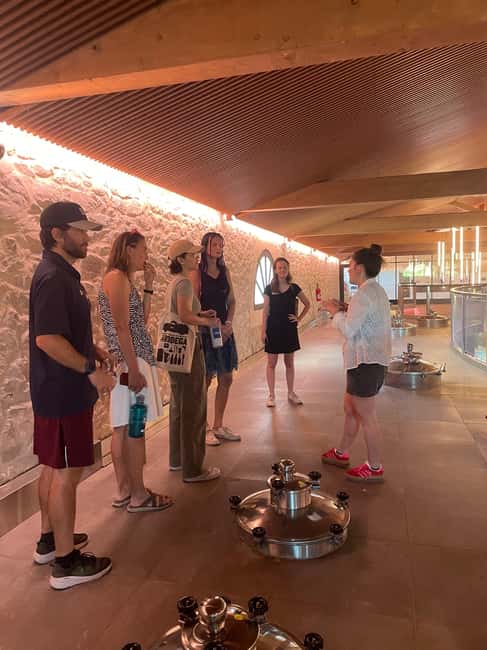 Montpellier : Wine Tour Pic St Loup - Visiting the Vineyards with Breathtaking Views Over Montpellier Hinterland