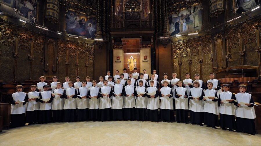 Montserrat & Cava Wineries Day Trip from Barcelona w/ Pickup - Montserrat Monastery Tour and the Holy Grotto Experience