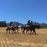 Montserrat Horse Riding and Walking Small Group Tour - Exploring the Montserrat Monastery and Basilica