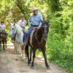 Montserrat Monastery & Horse Riding Experience from Barcelona - Arriving at the Horse Ranch for the Riding Experience