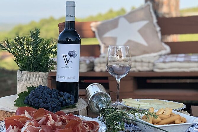 Montserrat tailored private tour: Monastery, winery & more! - Visiting the Iconic Montserrat Monastery & Black Madonna