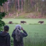 Moose safari with campfire dinner from Helsinki - Traditional Finnish Campfire Experience in the Forest