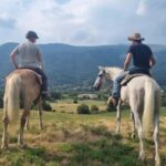 Morenic Hills: Guided Horse Tour and Aperitif at the Ranch - The Route Through Woods, Vineyards, and Country Roads