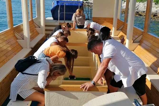 Morning panorama & swimming with a fishes - Exploring Pula’s Islands and Marine Biodiversity