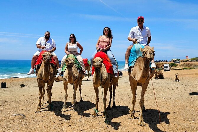 Morocco: Tangier Private Tour from Malaga & Tarifa. All Inclusive - Starting from Malaga or Tarifa: Convenient Departure Options