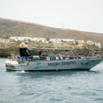 Morro Jable: Dolphin & Whale Watching Cruise, Drinks & Swim - From Morro Jable Port to the Open Seas