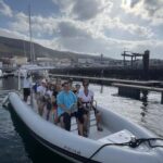 Morro Jable:Dolphin & Whale Watching Boat Tour & Snorkeling - Starting Your Adventure from Morro Jable