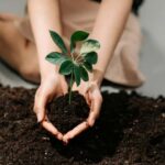 Moss & Floral Frame Making Workshop - The Unique Focus on Moss & Floral Frame Creation