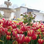 Most famous sites of Istanbul - Visiting the Historic Areas of Istanbul