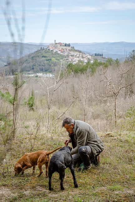 Motovun: Truffle Hunt & 3-Course Brunch with Locals - Meet the Family and Learn About Truffle History