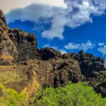 Mount Teide and Teno Country Park Private Tour - Transitioning to Pine Forests at Parque Natural Corona Forestal