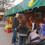 Mount Vesuvius Shore Tour, Pompeii & Winery Vesuvius Winery - Climbing Mount Vesuvius: From the Base to the Crater