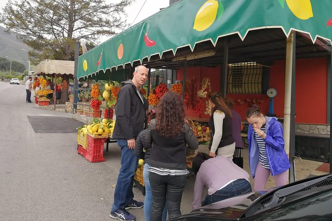 Mount Vesuvius Shore Tour, Pompeii & Winery Vesuvius Winery - Climbing Mount Vesuvius: From the Base to the Crater