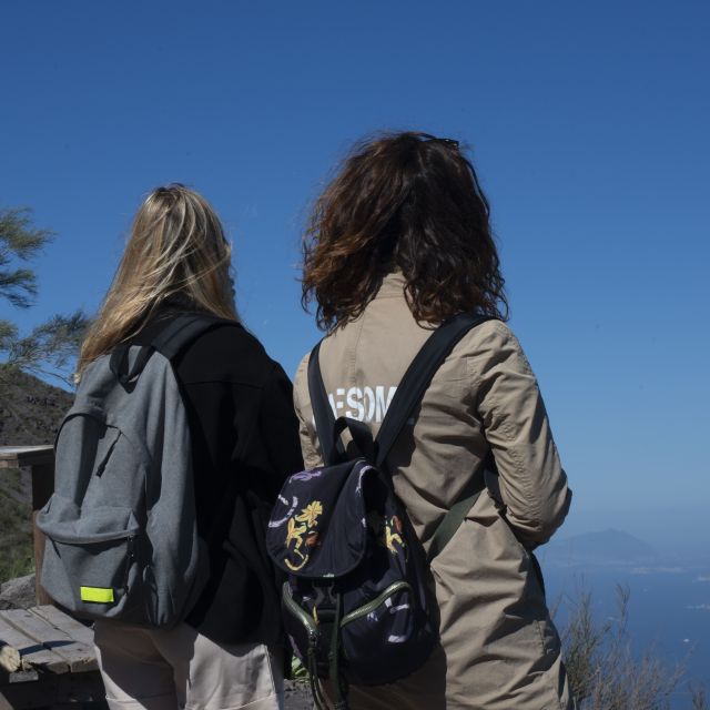 Mount Vesuvius: Skip-the-Line Ticket and Audio Guide - How to Access Mount Vesuvius Without Hassle