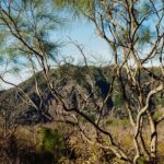 Mount Vesuvius Skip the Line Ticket + Multilingual Audio Guide - The Ascent and Walking Experience