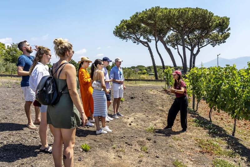 Mount Vesuvius: Vineyards Tour with Wine Tasting and Lunch - Starting Point and Access to the Winery
