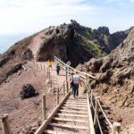 Mount Vesuvius & Wine Tasting with Lunch Private Tour from Amalfi Coast - The Vesuvius Crater and Scenic Views