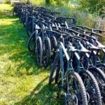 Mountain bike rental in Camargue - Exploring the Parc Naturel Régional de Camargue
