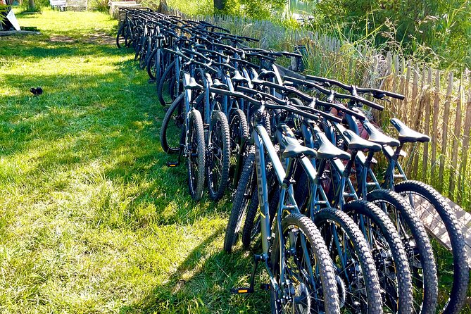 Mountain bike rental in Camargue - Exploring the Parc Naturel Régional de Camargue