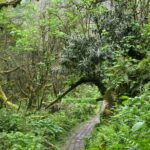 Mountains of Adjara Private Wine Tour from Batumi - Scenic Views and Landscape Highlights