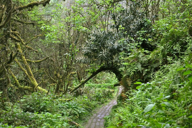 Mountains of Adjara Private Wine Tour from Batumi - Scenic Views and Landscape Highlights