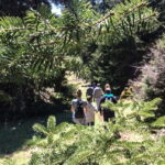 Mt. Parnassos: Mountain Bike in Altitude Forest - Discovering the Entrance of Eptastomos Cave
