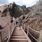 Mt Vesuvius with Winery Visit - Wine Tasting and Vineyard Tour at Bosco de Medici Winery