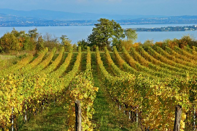Mt Vesuvius - Exploring Mount Vesuvius’ Crater and Views