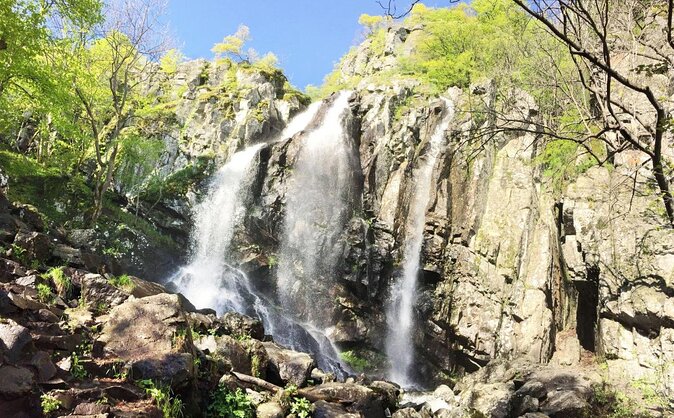 Mt. Vitosha and Boyana Waterfall Hiking Tour from Sofia - Visiting Boyana Waterfall on the Return
