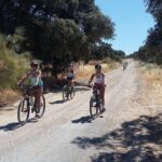 MTB (Self-Guided) Setenil de las Bodegas - 30km Easy - Scenic Route Through Rural Andalucian Countryside