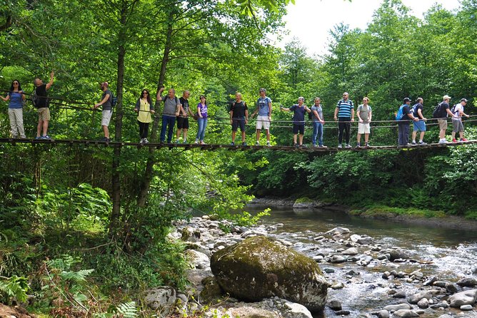 Mtirala National Park Tour - Visiting Mtirala National Park’s Entrance and Photo Stop
