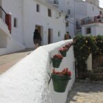 Mudejar Route and White Villages Small-Group Tour with Lunch - Wandering the Narrow Streets of Canillas de Albaida