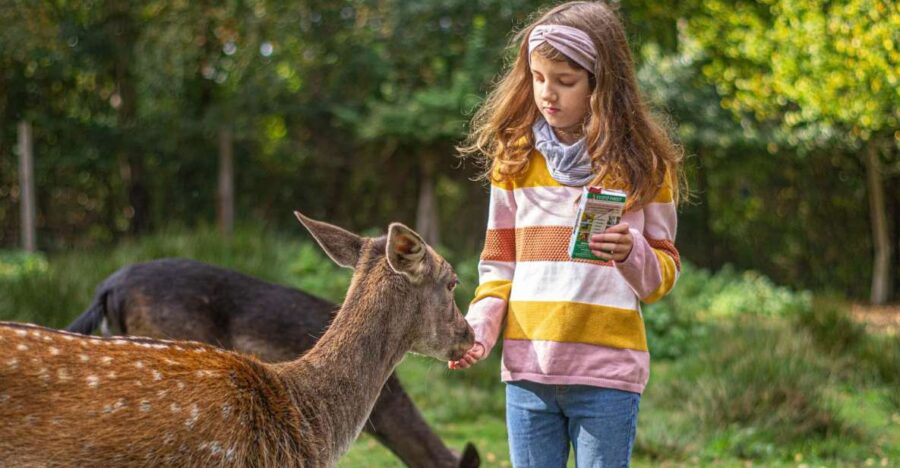 Müden: Wildlife Park Entry Ticket - Unique Features of the Müden Wildlife Park: Large Enclosures and Animal Care