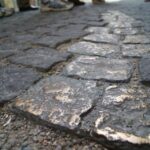 Munich: Birthplace of the Third Reich Guided Walking Tour - Visiting Munich’s Historic Beer Halls and Early Nazi Gatherings