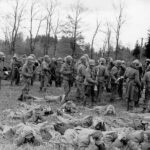 Munich in the 3rd Reich and WW2 private walking tour - Visiting the Birthplace of the SS and Related Sites