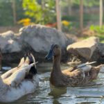 Murcia, Astronomy Night in Finca Astronomica - Exploring the Finca and Its Surroundings